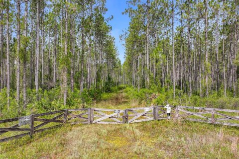 Terreno en venta en Chiefland, Florida № 1789690 - foto 3