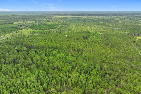 Terreno en venta en Chiefland, Florida № 1789690 - foto 14