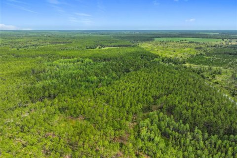 Terreno en venta en Chiefland, Florida № 1789690 - foto 15