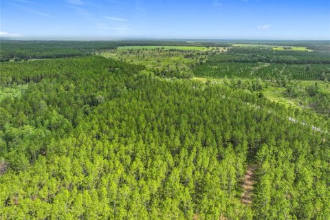 Terreno en venta en Chiefland, Florida № 1789690 - foto 19