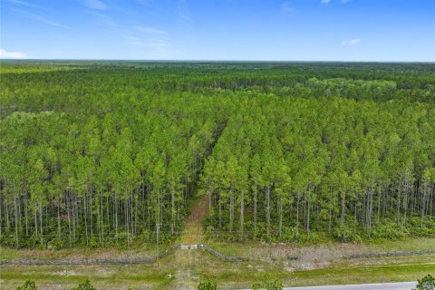 Terreno en venta en Chiefland, Florida № 1789690 - foto 18