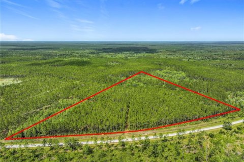 Terreno en venta en Chiefland, Florida № 1789690 - foto 9