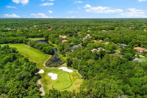 Villa ou maison à vendre à Tampa, Floride: 5 chambres, 723.8 m2 № 2200644 - photo 3