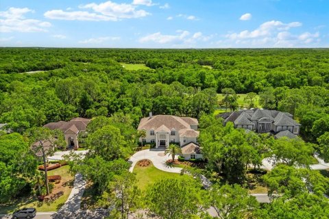Villa ou maison à vendre à Tampa, Floride: 5 chambres, 723.8 m2 № 2200644 - photo 12