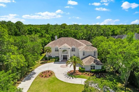 Villa ou maison à vendre à Tampa, Floride: 5 chambres, 723.8 m2 № 2200644 - photo 2