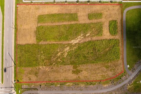 Land in Auburndale, Florida № 1773230 - photo 5