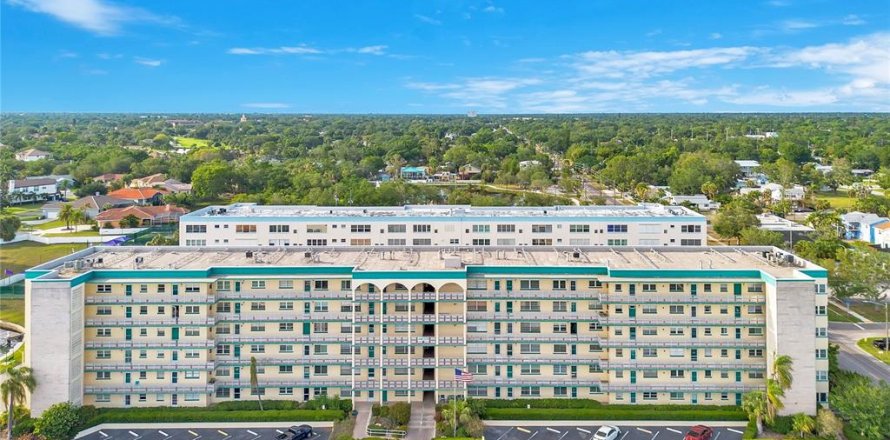 Condo à Gulfport, Floride, 2 chambres № 2149583