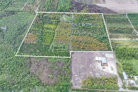 Commercial property in Florida City, Florida № 2179891 - photo 2