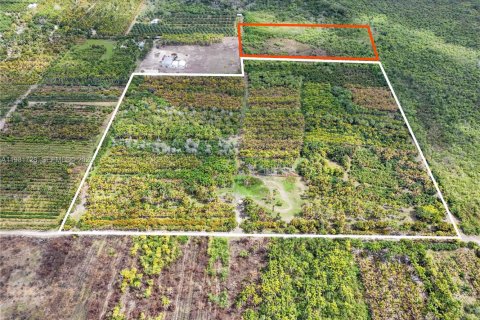 Commercial property in Florida City, Florida № 2179891 - photo 3