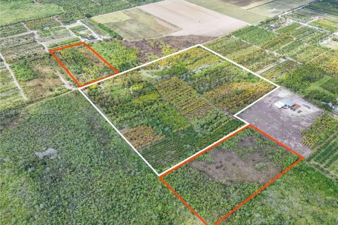 Commercial property in Florida City, Florida № 2179891 - photo 4
