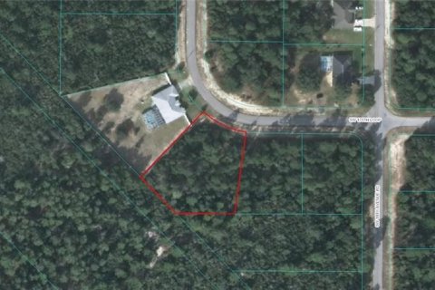 Terreno en Ocala, Florida № 2203942