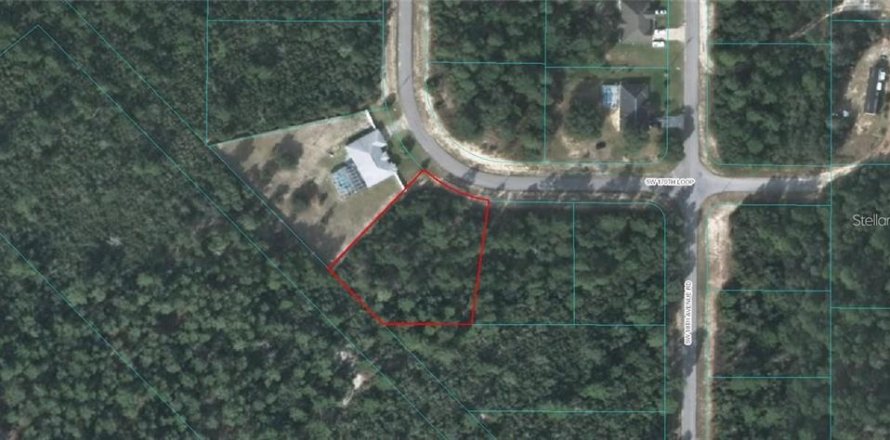 Terrain à Ocala, Floride № 2203942