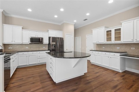 Villa ou maison à vendre à Wesley Chapel, Floride: 4 chambres, 248.61 m2 № 2150296 - photo 12
