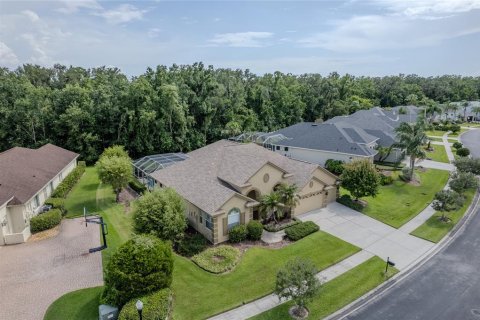 Villa ou maison à vendre à Wesley Chapel, Floride: 4 chambres, 248.61 m2 № 2150296 - photo 3