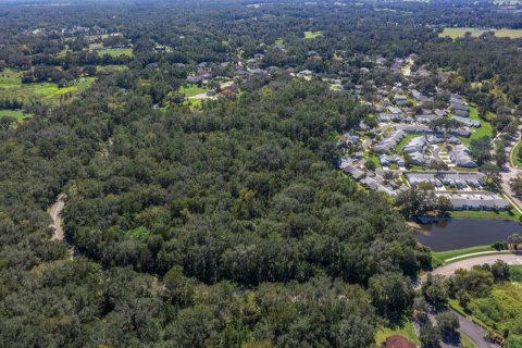 Terreno en venta en Ocala, Florida № 2130718 - foto 7