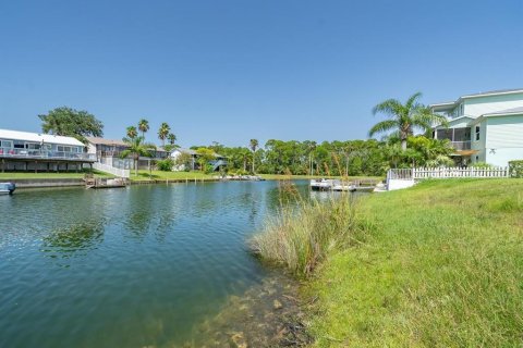 Terreno en venta en Hernando Beach, Florida № 247743 - foto 14