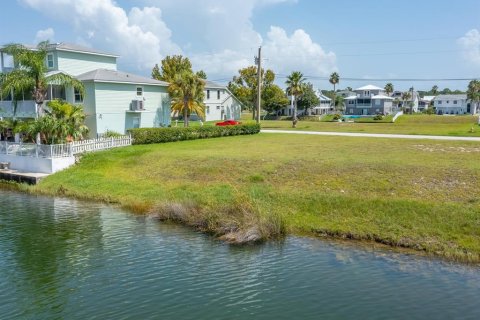 Terreno en venta en Hernando Beach, Florida № 247743 - foto 17