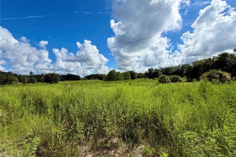 Terrain à Spring Hill, Floride № 2349198