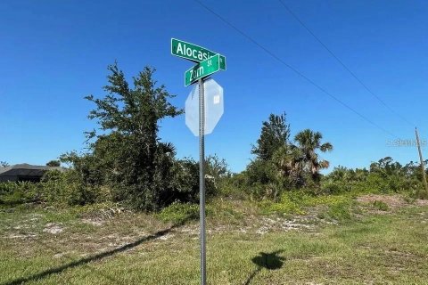 Land in Port Charlotte, Florida № 2165665 - photo 3