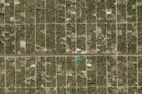 Land in Lehigh Acres, Florida № 2158968 - photo 3