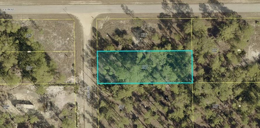 Land in Lehigh Acres, Florida № 2158968
