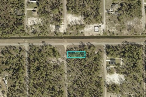 Land in Lehigh Acres, Florida № 2158968 - photo 2