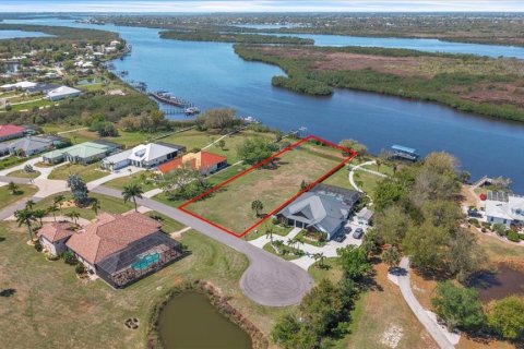 Land in Punta Gorda, Florida № 2330867