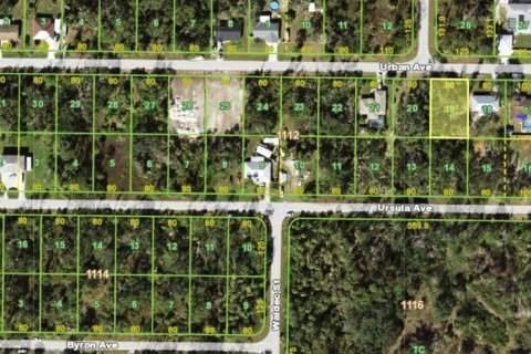 Land in Port Charlotte, Florida № 2211121
