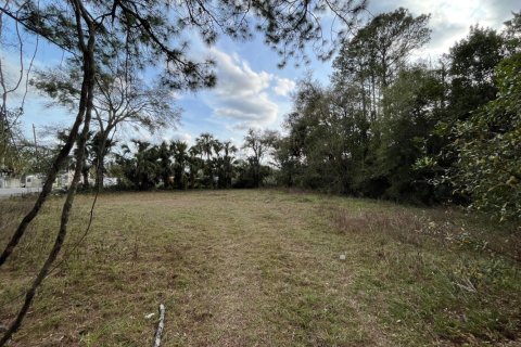 Land in Jacksonville, Florida № 766184 - photo 1