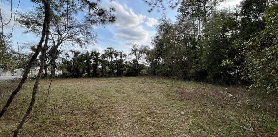 Land in Jacksonville, Florida № 766184