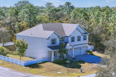 Villa ou maison à Homosassa, Floride 6 chambres, 378.11 m2 № 2430741