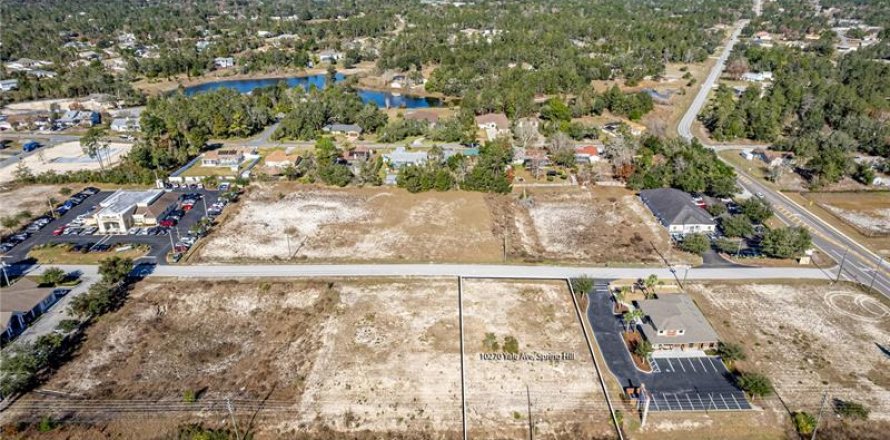 Land in Weeki Wachee, Florida № 262087