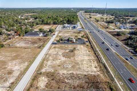 Land in Weeki Wachee, Florida № 262087 - photo 8
