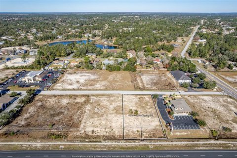 Land in Weeki Wachee, Florida № 262087 - photo 11