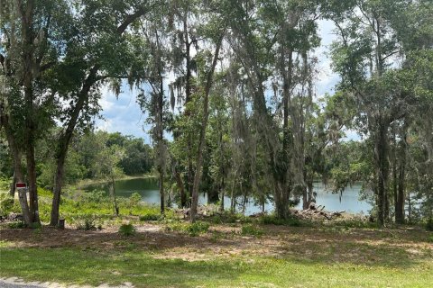 House in Ocklawaha, Florida 3 bedrooms, 109.35 sq.m. № 1903095 - photo 2