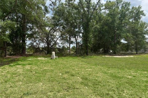 House in Ocklawaha, Florida 3 bedrooms, 109.35 sq.m. № 1903095 - photo 4