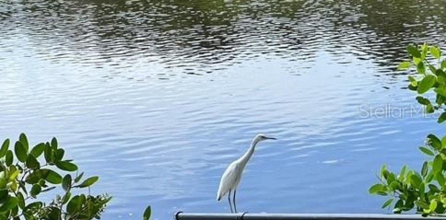 House in Port Richey, Florida 2 bedrooms, 106.56 sq.m. № 1734408