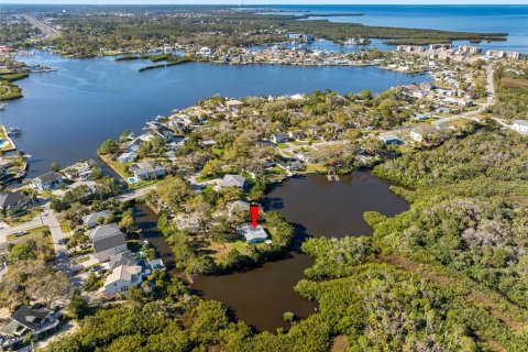 House in Port Richey, Florida 2 bedrooms, 106.56 sq.m. № 1734408 - photo 29