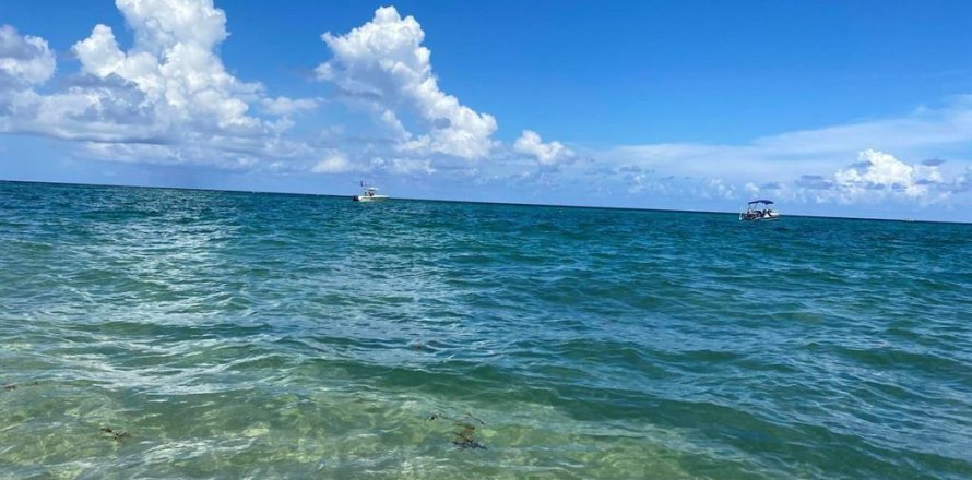 Condo in Lake Worth, Florida, 1 bedroom № 1029641