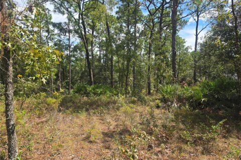 Land in Dunnellon, Florida № 2163010 - photo 5