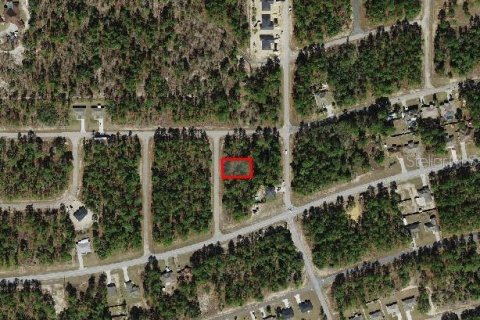 Land in Dunnellon, Florida № 2163010 - photo 8