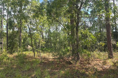 Land in Dunnellon, Florida № 2163010 - photo 6