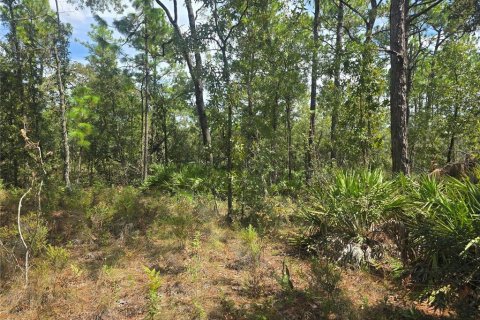 Land in Dunnellon, Florida № 2163010 - photo 3