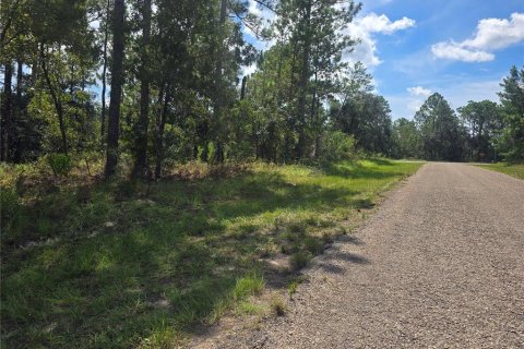 Land in Dunnellon, Florida № 2163010