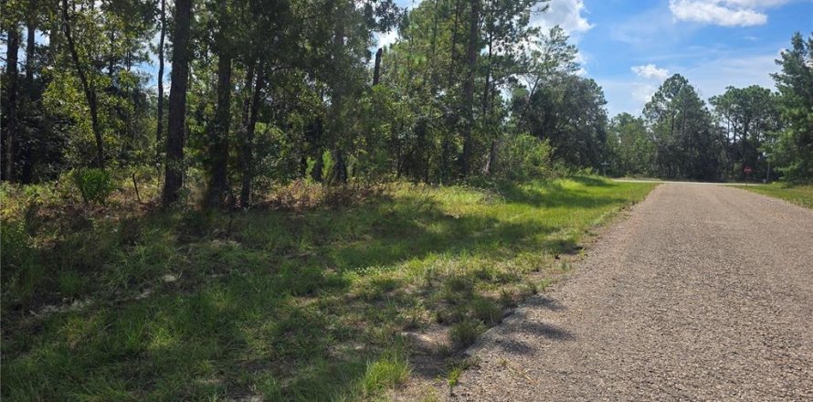 Land in Dunnellon, Florida № 2163010