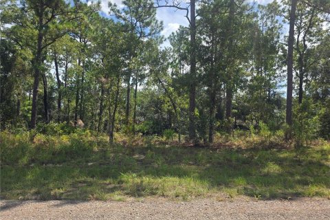 Land in Dunnellon, Florida № 2163010 - photo 2