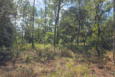 Land in Dunnellon, Florida № 2163010 - photo 4