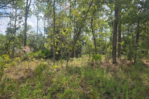 Land in Dunnellon, Florida № 2163010 - photo 7