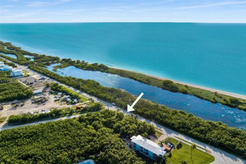 Land in Marathon, Florida № 2015738 - photo 3