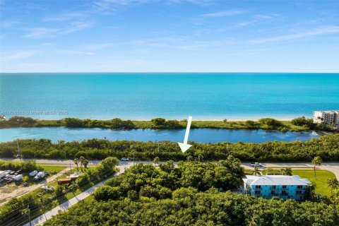 Terrain à Marathon, Floride № 2015738